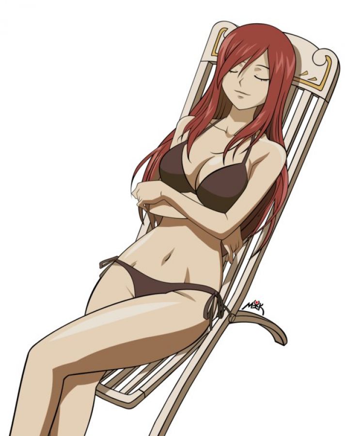 fairy_tail_erza_20110120_00035.jpg